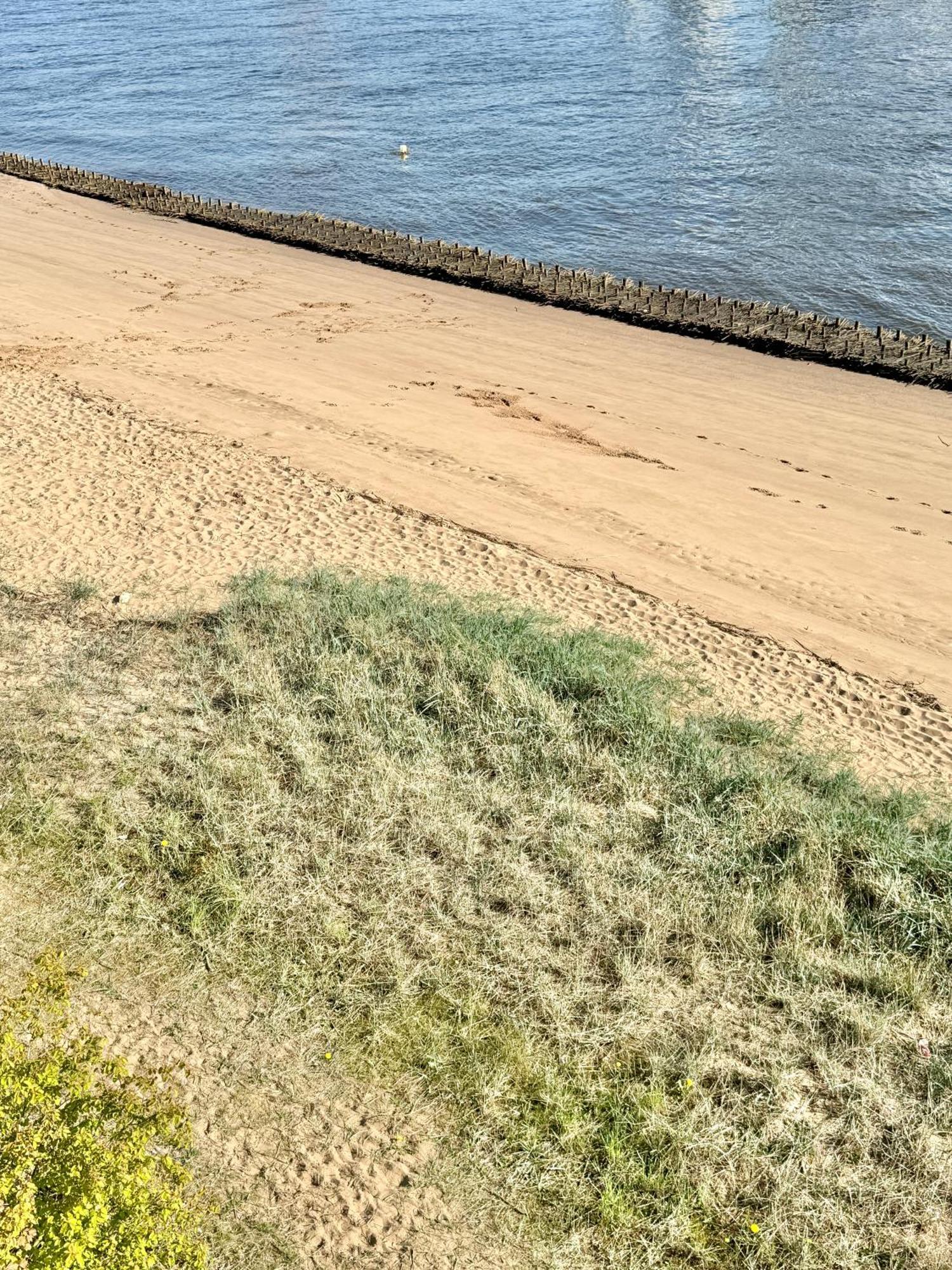 Gaestehaus Weserblick Am Weser-Sandstrand Berne Esterno foto